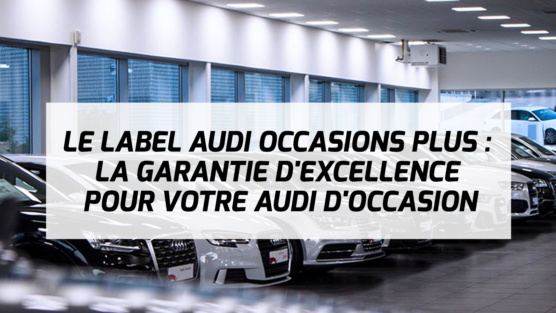 Audi Occasion Daniel Mouton