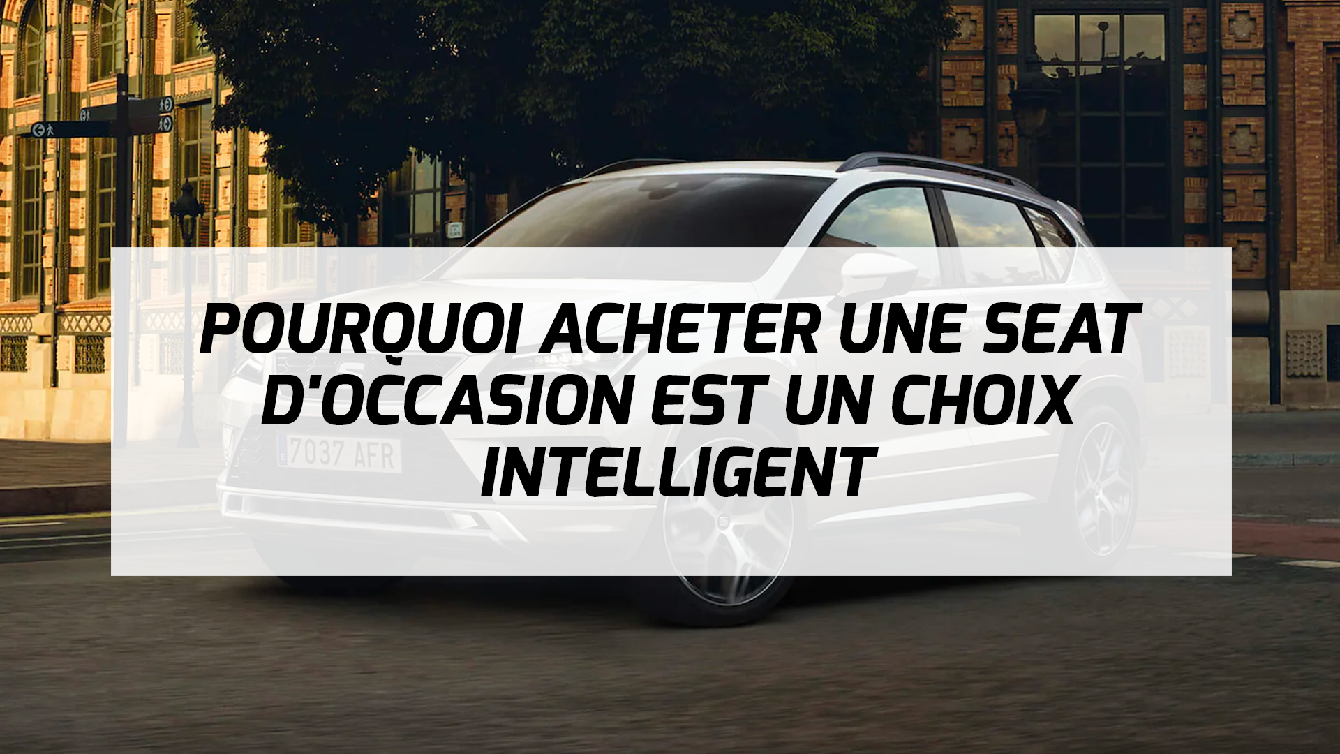 Seat Occasion Daniel Mouton Seat Occasion Daniel Mouton